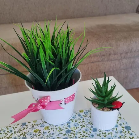 медика 아파트