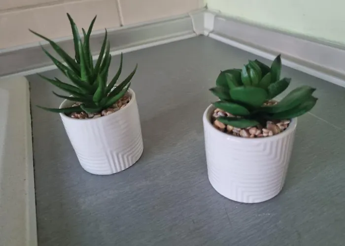 Lejlighed медика *