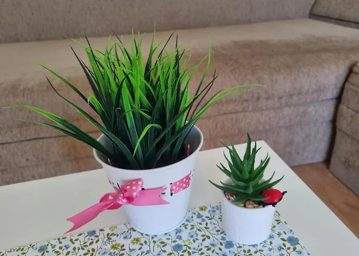 медика Lejlighed